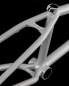 Preview: Rahmen Fly Bikes Dove 13.6"
