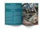 Preview: Magazin Greystoke BMX 1