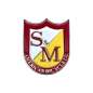 Preview: Pin S&M Shield
