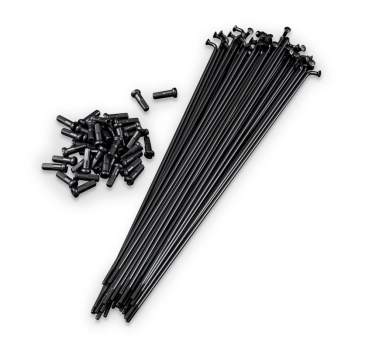 Spokes Fly Bikes 20 Pack