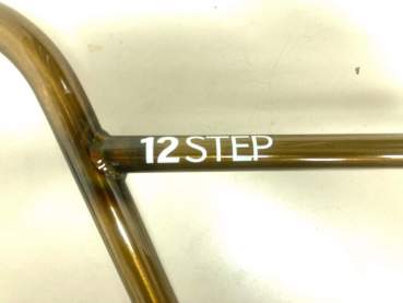 Bar S&M 12 Step