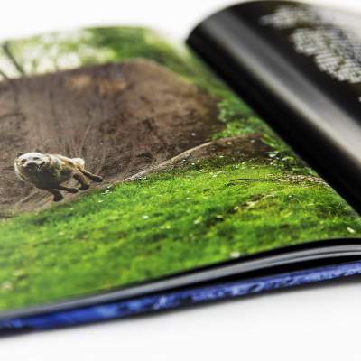 BMX Book + DVD Maintain IV.V Derailed