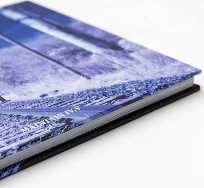 BMX Buch Maintain IV.V Derailed