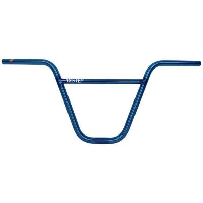 Bar S&M 12 Step