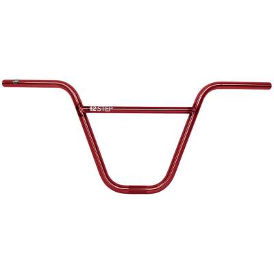 Bar S&M 12 Step