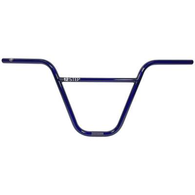 Bar S&M 12 Step